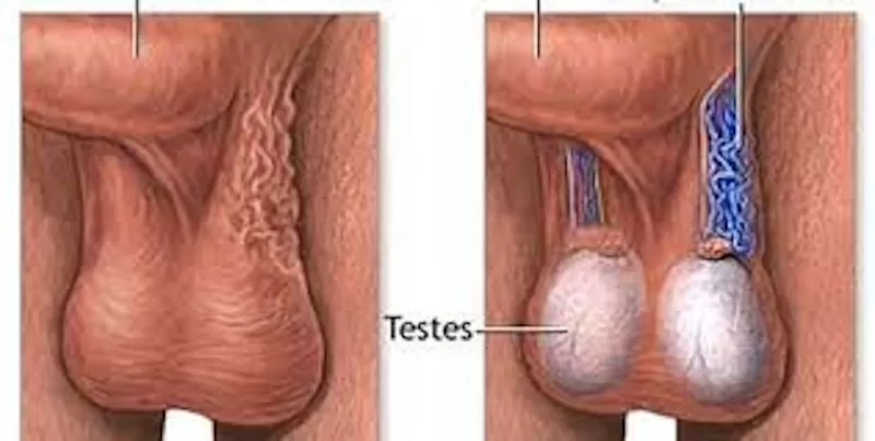 Eshakda 3 ta sikni sikish